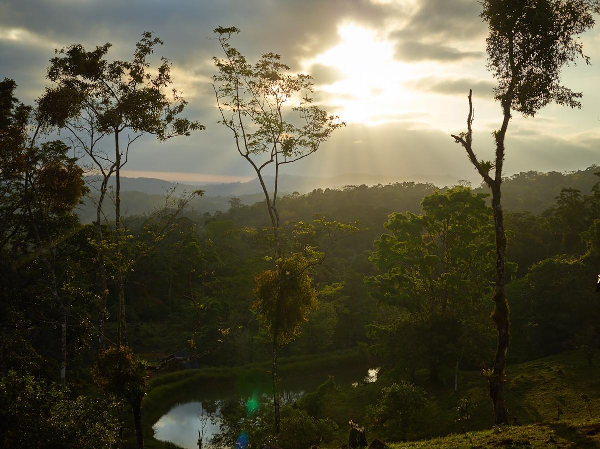 Origins Lodge Bijagua Exteriér fotografie